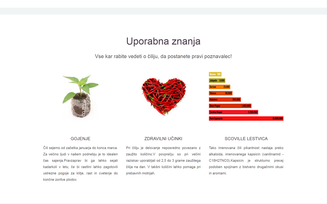 wordpress izdelava spletnih strani