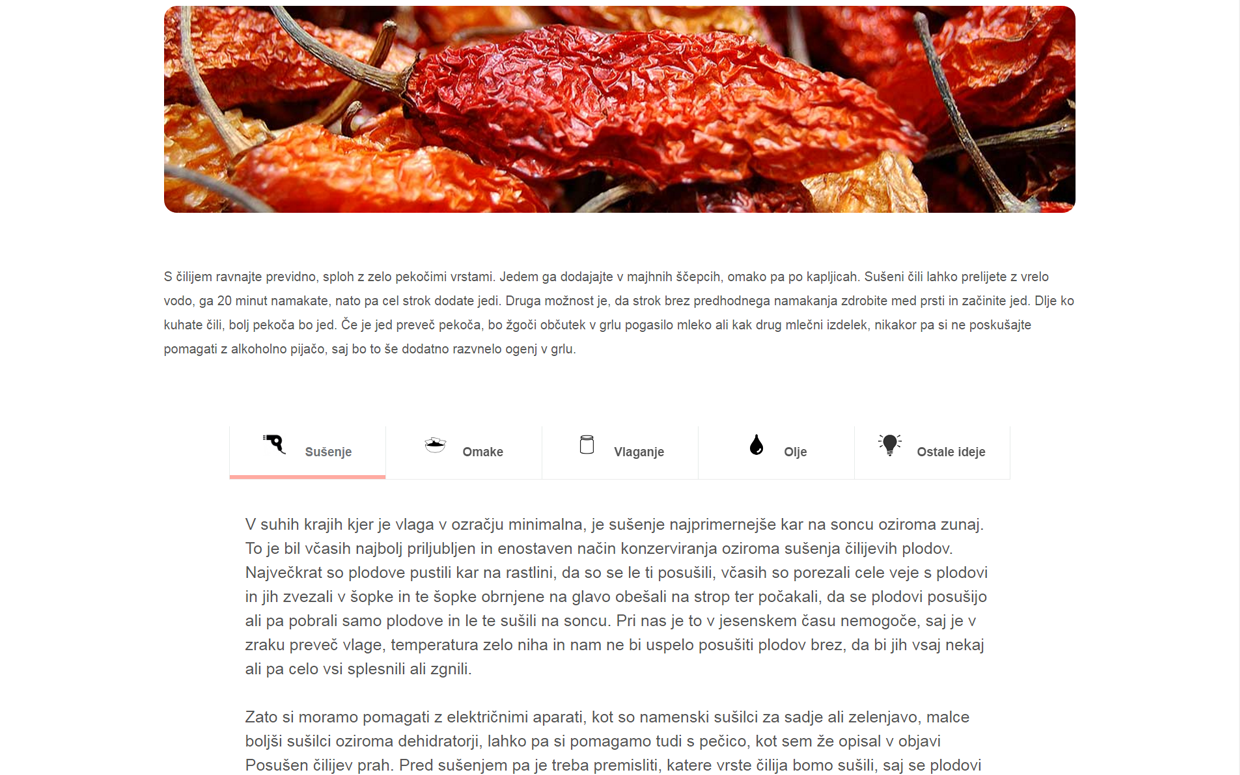 wordpress izdelava spletnih strani